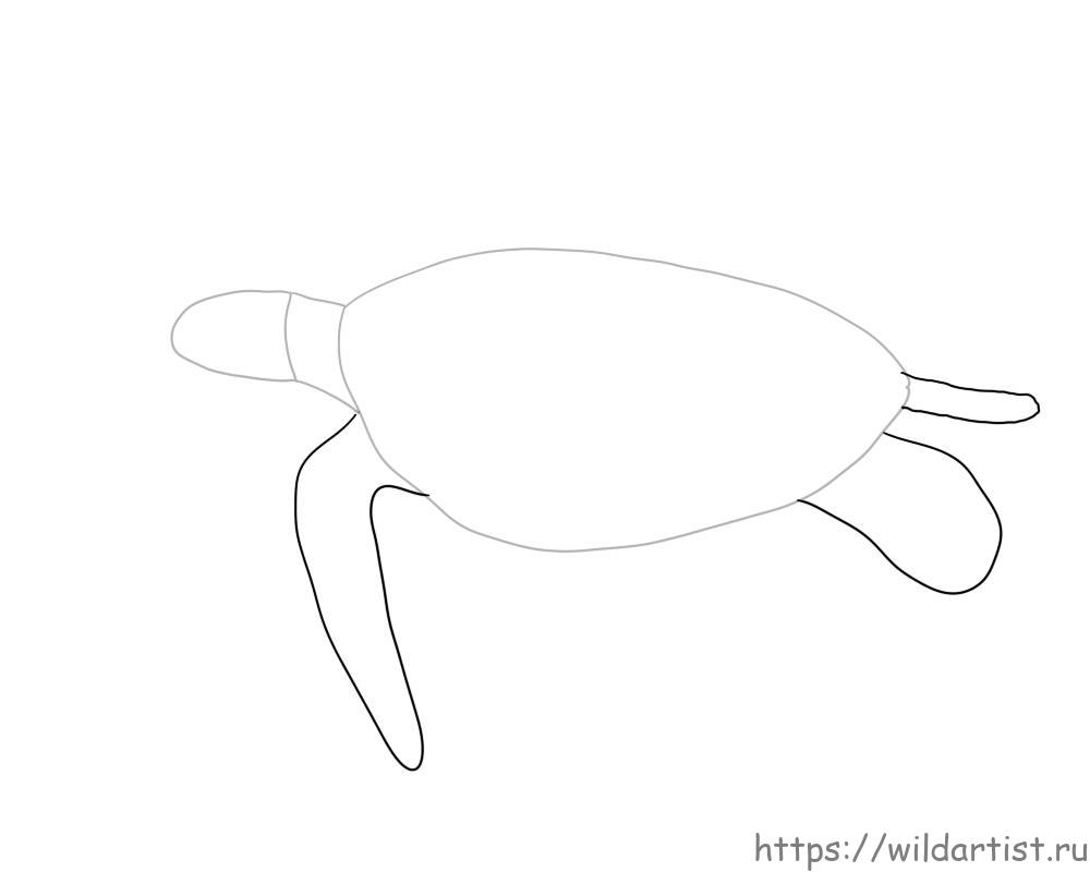 Как нарисовать морскую черепаху