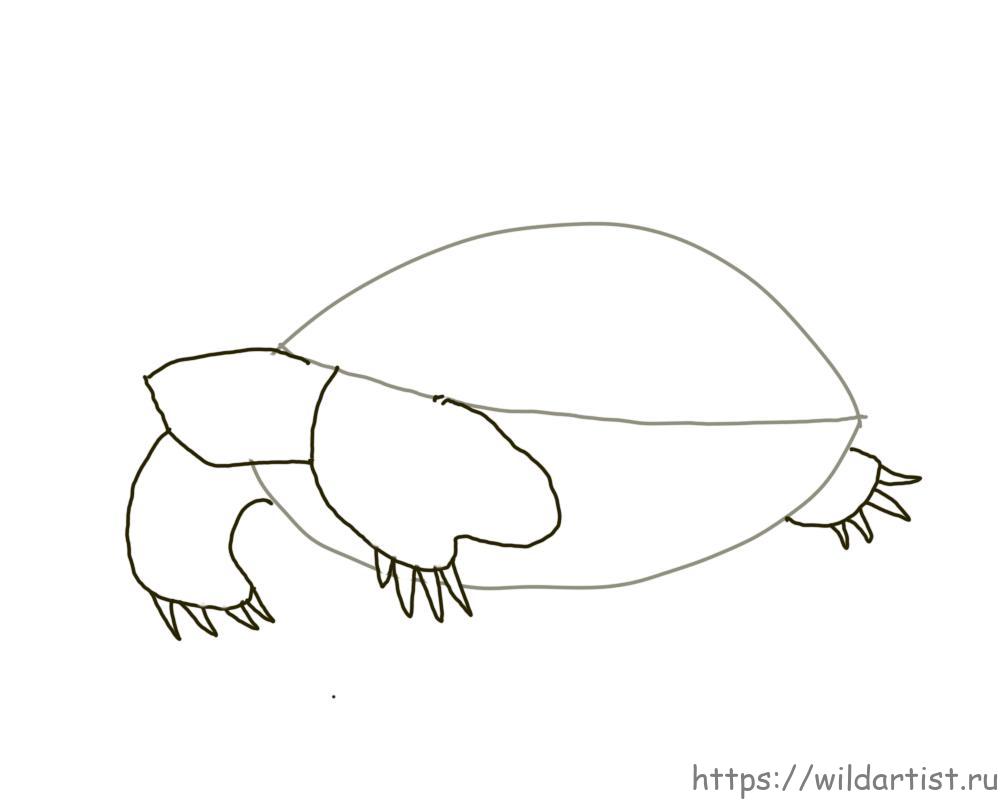 Черепаха рисунок простой.