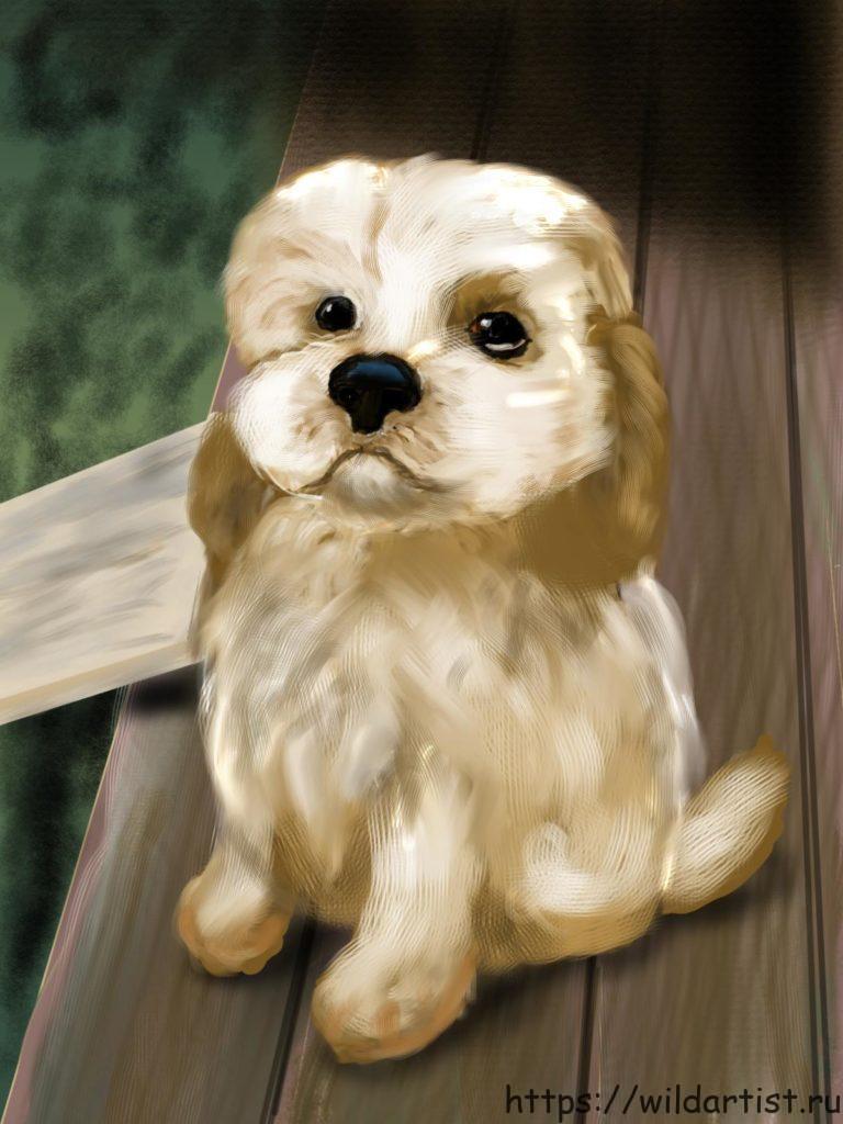 Как нарисовать щенка с помощью Autodesk Sketchbook Mobile
