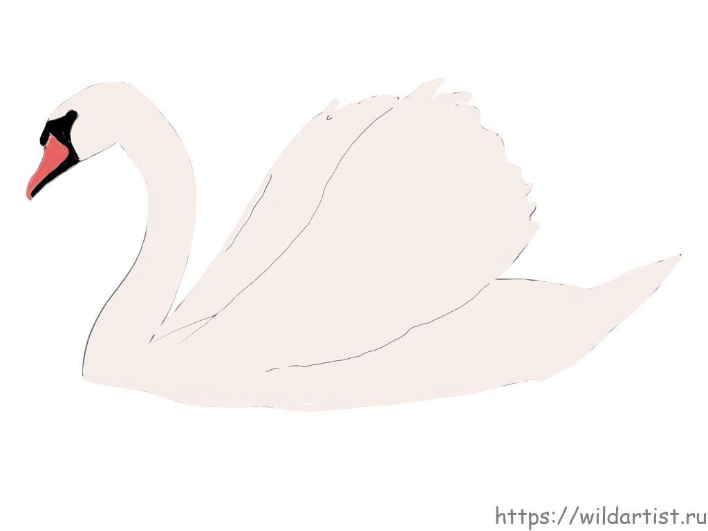 Легкий рисунок гуси лебеди - 57 фото