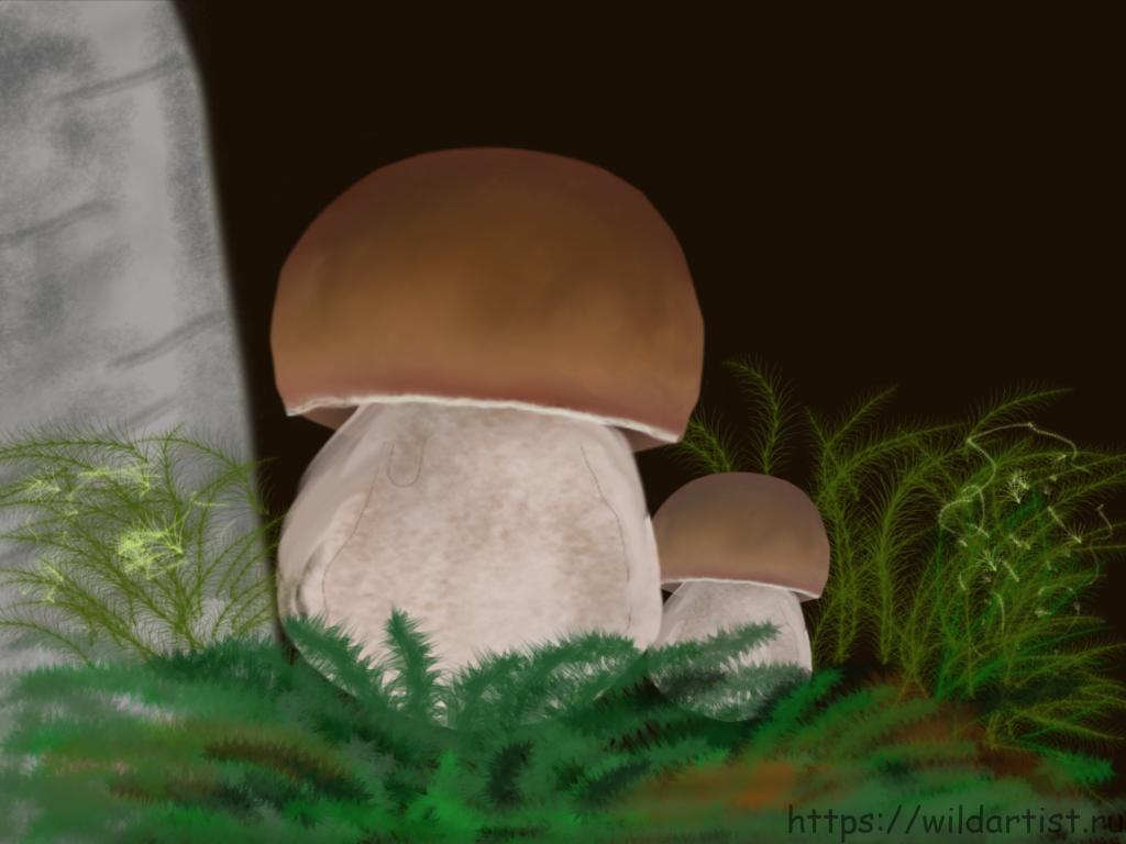 Как нарисовать белый гриб