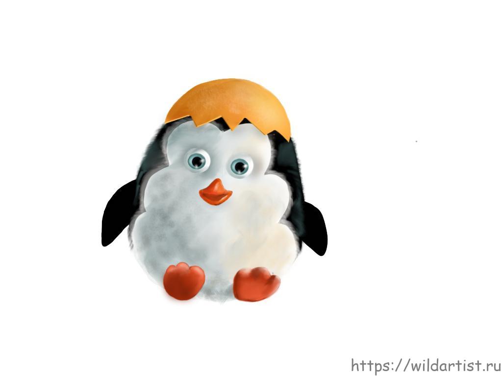 Видео: как по шагам нарисовать пингвина